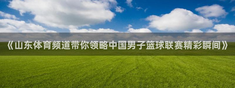 《山东体育频道带你领略中国男子篮球联赛精彩瞬间》
