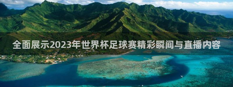 全面展示2023年世界杯足球赛精彩瞬间与直播内容