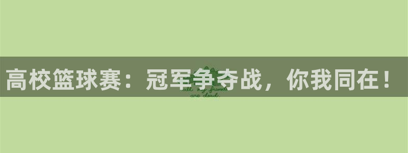 高校篮球赛：冠军争夺战，你我同在！